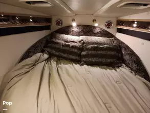 Thumbnail von Black Thunder Offshore 460 Ec