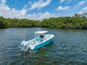 Thumbnail von Streamline 26