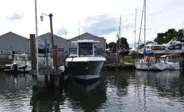 Thumbnail von Rodman 33 Offshore