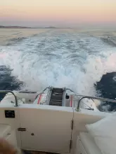 Thumbnail von Johnson 56