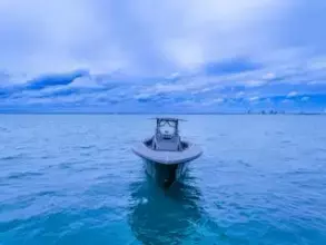 Thumbnail von Streamline 45