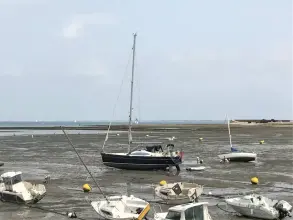 Thumbnail von Southerly 42 RST