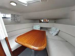 Thumbnail von Broom 35 Cl Ex 'Saturna'