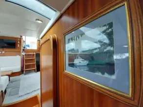 Thumbnail von Broom 35 Cl Ex 'Saturna'