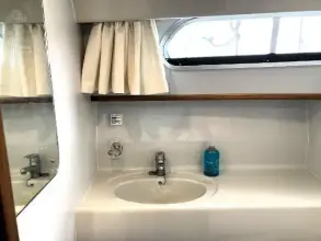 Thumbnail von Broom 35 Cl Ex 'Saturna'