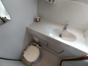 Thumbnail von Broom 35 Cl Ex 'Saturna'