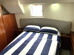 Thumbnail von Broom 35 Cl Ex 'Saturna'