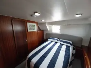 Thumbnail von Broom 35 Cl Ex 'Saturna'