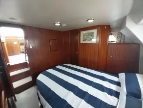 Thumbnail von Broom 35 Cl Ex 'Saturna'