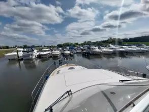 Thumbnail von Broom 35 Cl Ex 'Saturna'