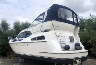 Thumbnail von Broom 35 Cl Ex 'Saturna'