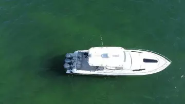 Thumbnail von Intrepid 400 Cuddy