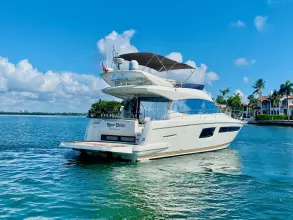 Thumbnail von Prestige 500