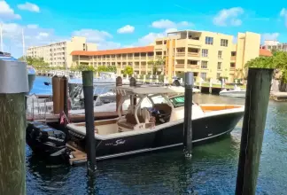 Thumbnail von Scout 380 LXF