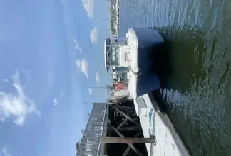 Thumbnail von World Cat 325 CC