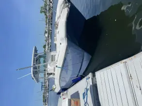 Thumbnail von World Cat 325 CC