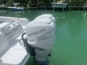 Thumbnail von Blackfin 302 CC