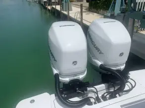 Thumbnail von Blackfin 302 CC