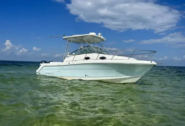 Robalo R305 WA