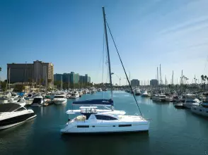 Thumbnail von Leopard 48 WIDTH GRATITUDE