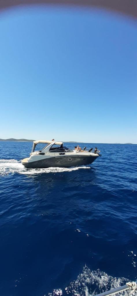 Thumbnail von Viper 303