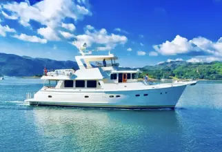 Selene 60