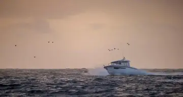 Thumbnail von Nimbus C11