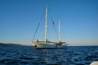 Thumbnail von Koser & Meyer Custom TAMORY