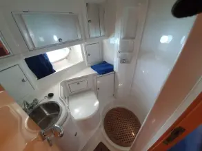 Thumbnail von Colombo Cambridge 42 Rare Bird