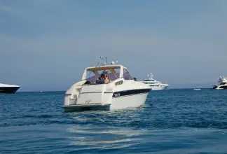 Thumbnail von Colombo Cambridge 42 Rare Bird