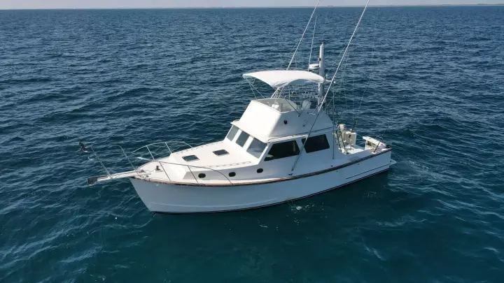 Wilbur 38 PUFFIAN