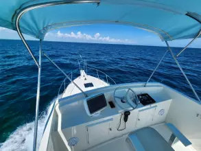 Thumbnail von Wilbur 38 PUFFIAN