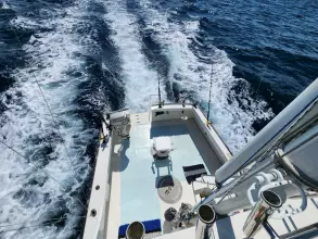 Thumbnail von Wilbur 38 PUFFIAN