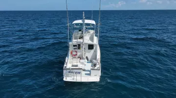 Thumbnail von Wilbur 38 PUFFIAN