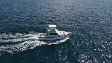 Thumbnail von Wilbur 38 PUFFIAN