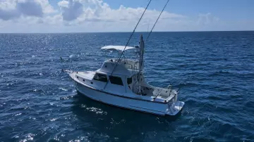 Thumbnail von Wilbur 38 PUFFIAN