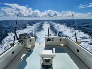 Thumbnail von Wilbur 38 PUFFIAN