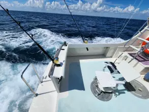 Thumbnail von Wilbur 38 PUFFIAN