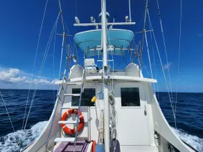 Thumbnail von Wilbur 38 PUFFIAN