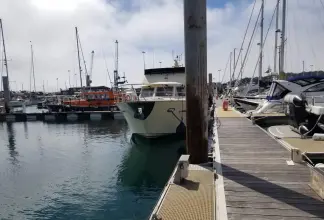 Thumbnail von Sea Ranger Mr Magoo