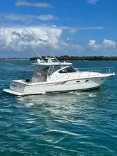 Thumbnail von Tiara Yachts 38 Open