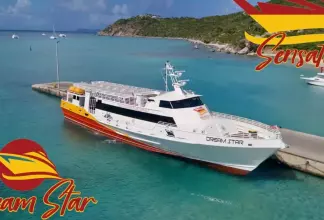 Thumbnail von Custom passenger Dream Star