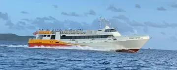 Thumbnail von Custom passenger Dream Star