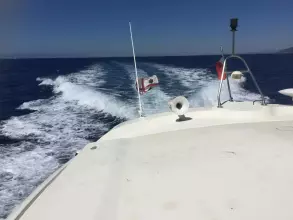 Thumbnail von Innovazione E Progetti Alena 47