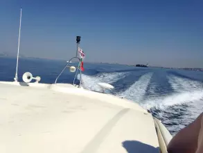 Thumbnail von Innovazione E Progetti Alena 47