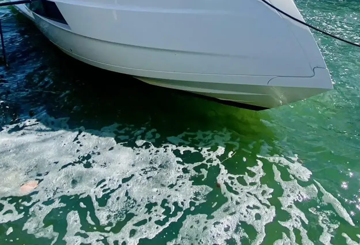 Thumbnail von Astondoa 377 Coupe