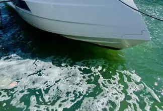 Thumbnail von Astondoa 377 Coupe