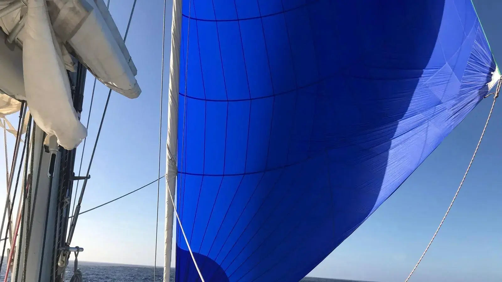 Thumbnail von Lagoon 560 1640