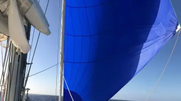 Thumbnail von Lagoon 560 1640