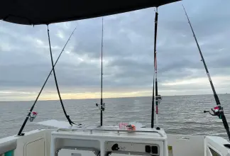 Thumbnail von Quicksilver 905 Pilothouse